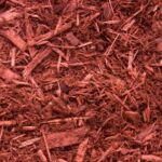 Paillis de Cèdre Rouge